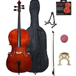 Orchestra Strings and Accessories