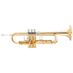 Trumpets & Accessories image