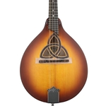 Banjo and Mandolin image