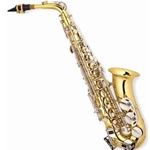 Adamson AAS-300 Intermediate Alto Saxophone