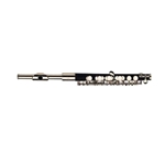Adamson APC300 Piccolo