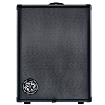 Darkglass DG210A 500-watt 2 x 10-inch Bass Combo