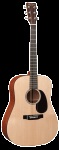 Martin Dreadnought Road Series AC/EL #DRSGT