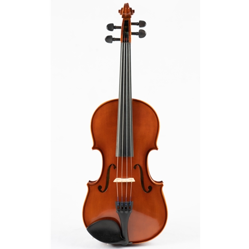 Eastman VL80 violin outfit 4/4 Nat